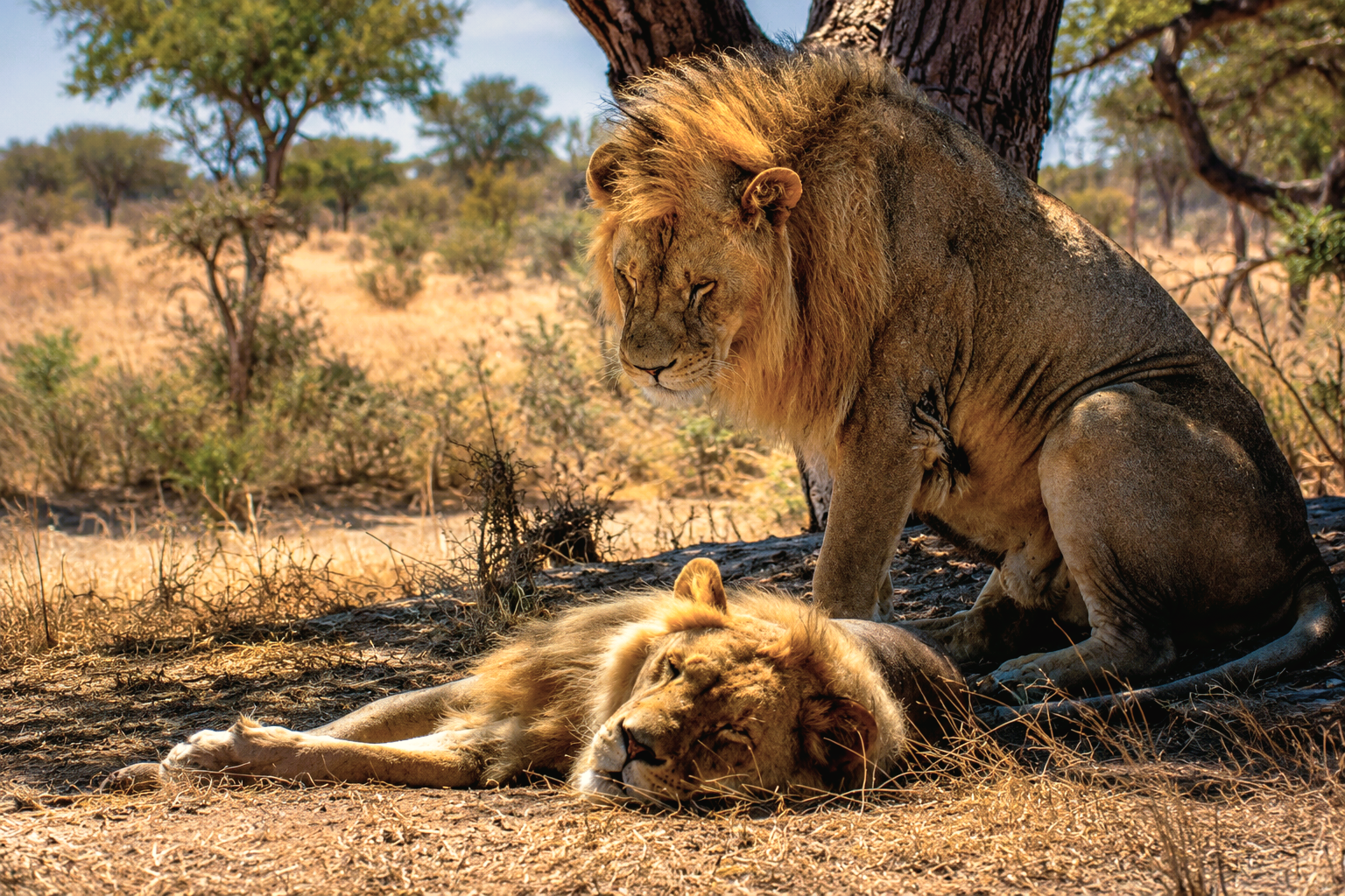 Hwange National Park