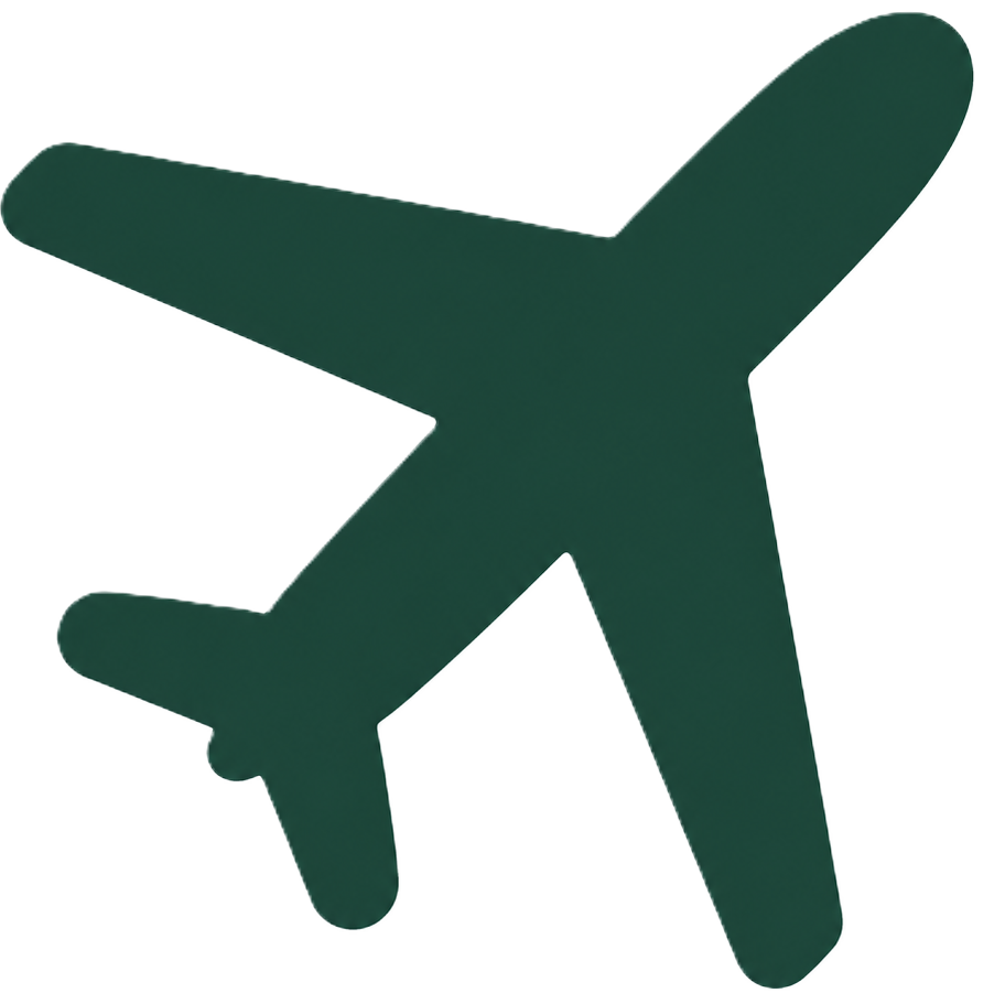 Icon representing a safari charter aircraft landing at a bush airstrip