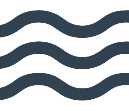 Wetlands Icon